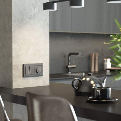 Выключатель Встраиваемые механизмы графит матовый W1120164