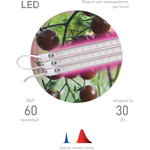 Светильник для растений  FITO-3х10W-LINE-RB90