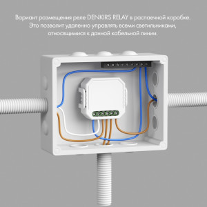 Wi-Fi реле Relay RL1004-DM/1