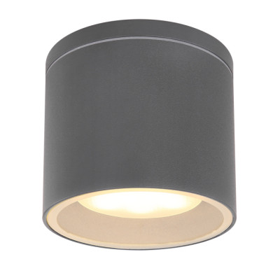 Потолочный светильник уличный Alcala 32063A